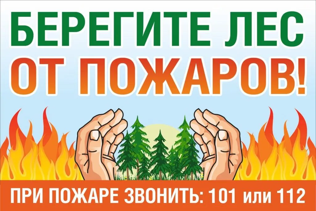 Берегите лес от пожаров!